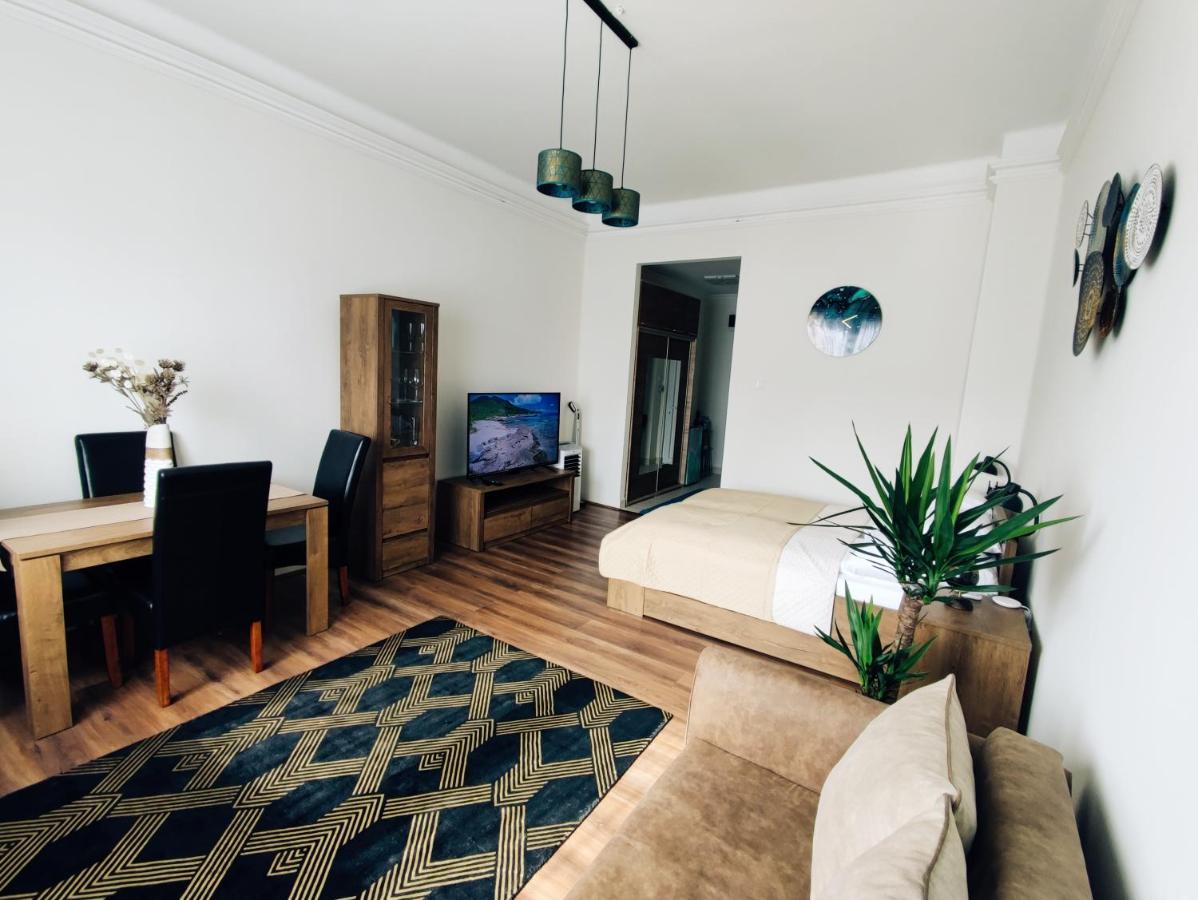 Central Palace Apartman Debrecen Extérieur photo